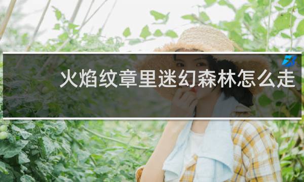 火焰纹章里迷幻森林怎么走
