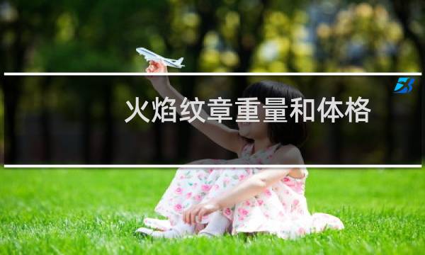 火焰纹章重量和体格