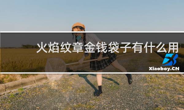 火焰纹章金钱袋子有什么用