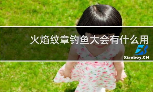 火焰纹章钓鱼大会有什么用