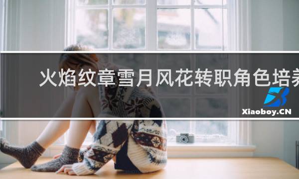 火焰纹章雪月风花转职角色培养