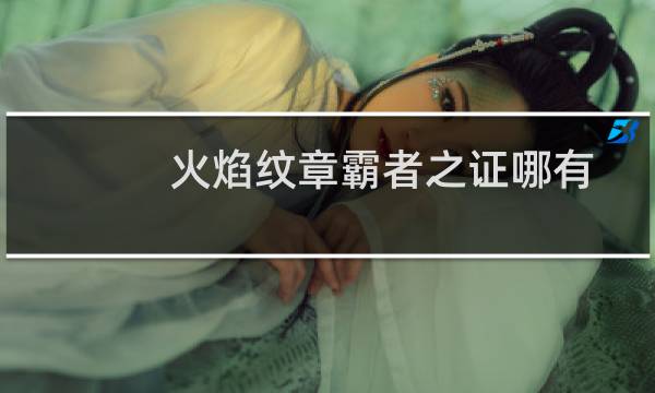 火焰纹章霸者之证哪有