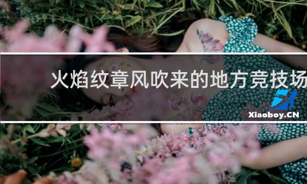 火焰纹章风吹来的地方竞技场