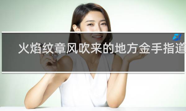 火焰纹章风吹来的地方金手指道具