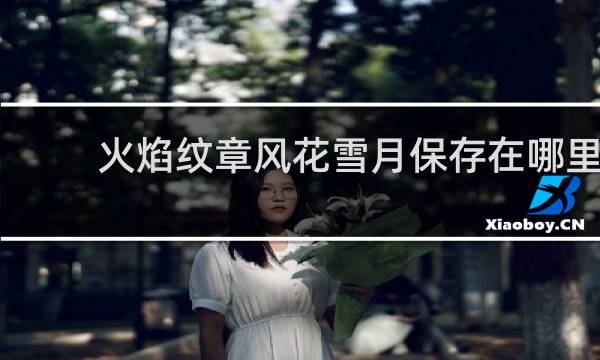火焰纹章风花雪月保存在哪里