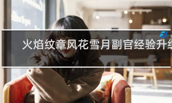 火焰纹章风花雪月副官经验升级