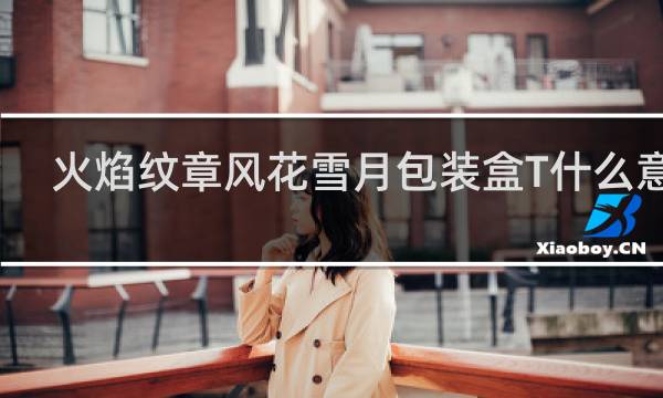 火焰纹章风花雪月包装盒T什么意思
