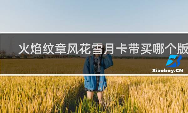火焰纹章风花雪月卡带买哪个版本