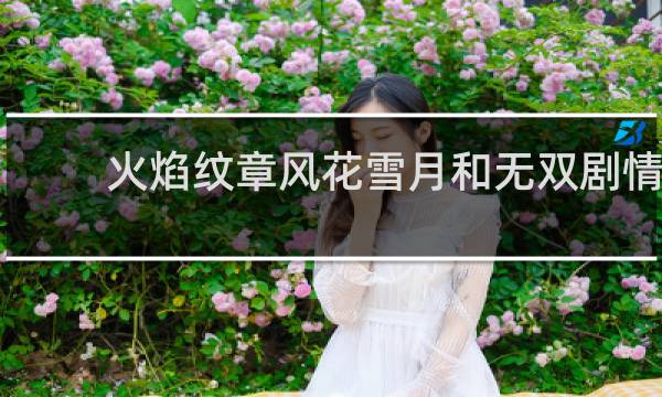 火焰纹章风花雪月和无双剧情