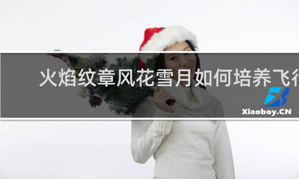 火焰纹章风花雪月如何培养飞行