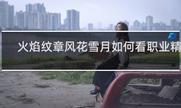火焰纹章风花雪月如何看职业精通