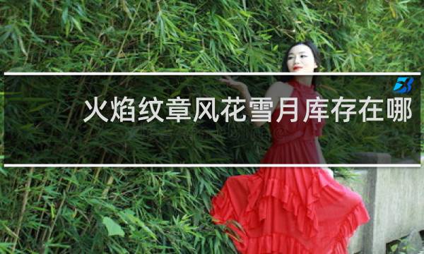 火焰纹章风花雪月库存在哪