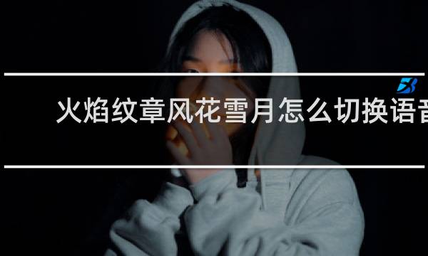 火焰纹章风花雪月怎么切换语音