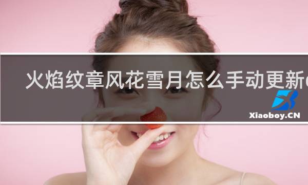 火焰纹章风花雪月怎么手动更新dlc