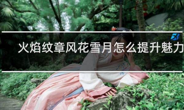 火焰纹章风花雪月怎么提升魅力值