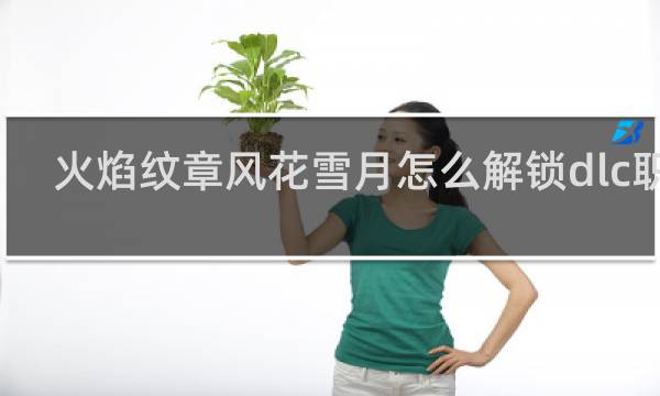 火焰纹章风花雪月怎么解锁dlc职业