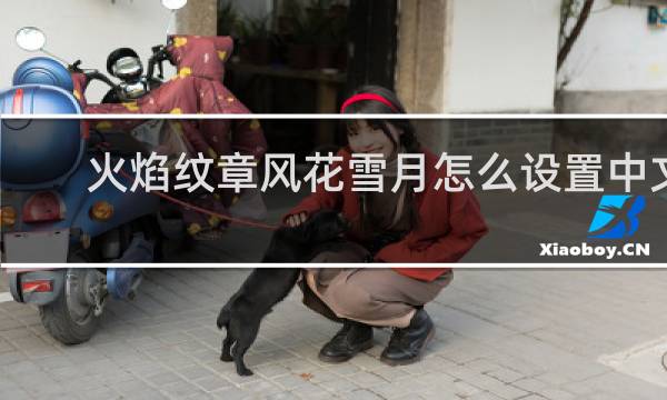 火焰纹章风花雪月怎么设置中文