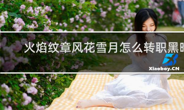 火焰纹章风花雪月怎么转职黑暗