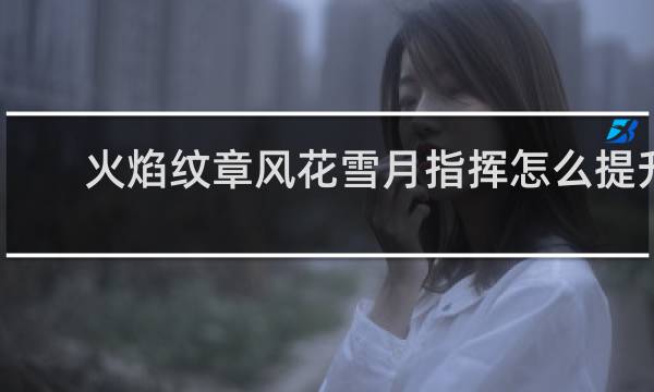 火焰纹章风花雪月指挥怎么提升