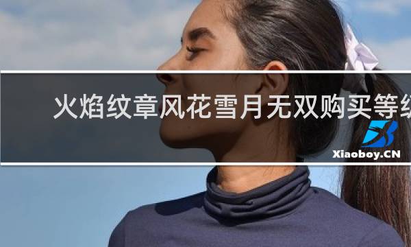 火焰纹章风花雪月无双购买等级