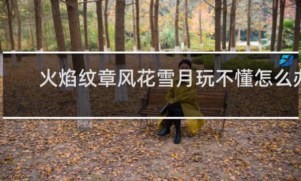 火焰纹章风花雪月玩不懂怎么办