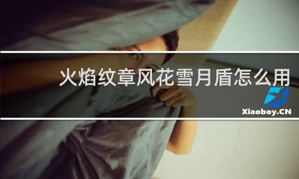 火焰纹章风花雪月盾怎么用