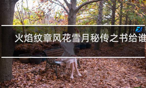 火焰纹章风花雪月秘传之书给谁用