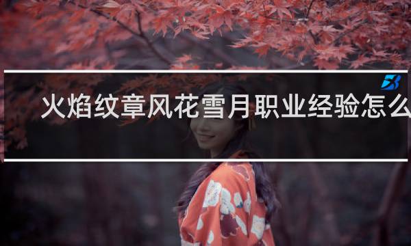 火焰纹章风花雪月职业经验怎么看