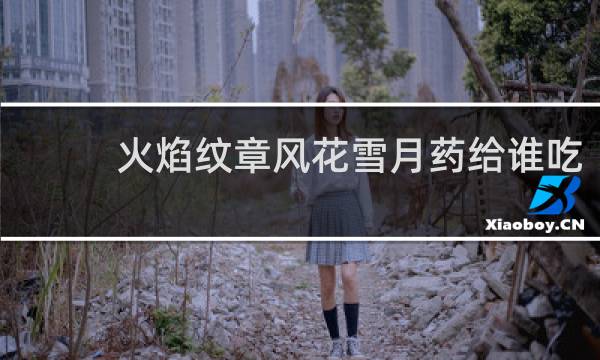 火焰纹章风花雪月药给谁吃