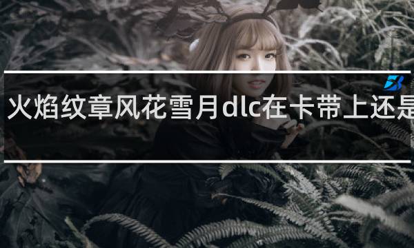 火焰纹章风花雪月dlc在卡带上还是数字