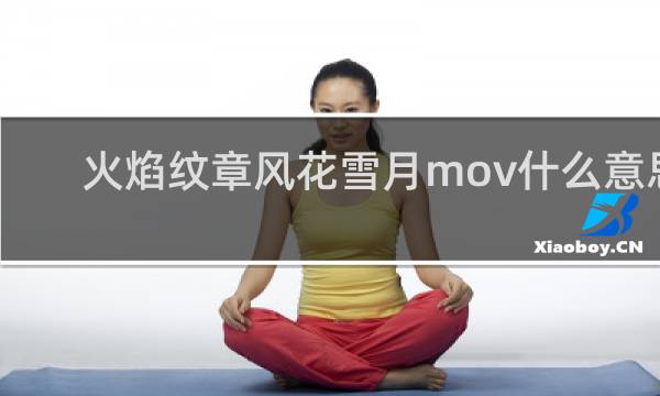 火焰纹章风花雪月mov什么意思
