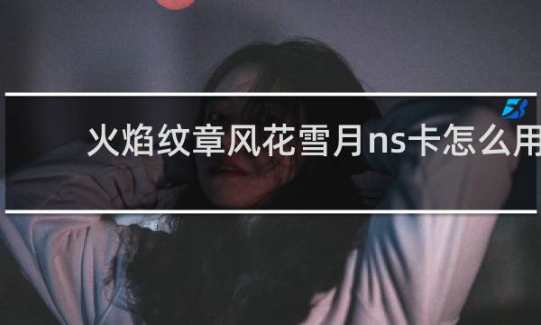火焰纹章风花雪月ns卡怎么用