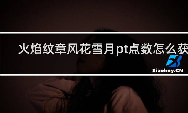 火焰纹章风花雪月pt点数怎么获得