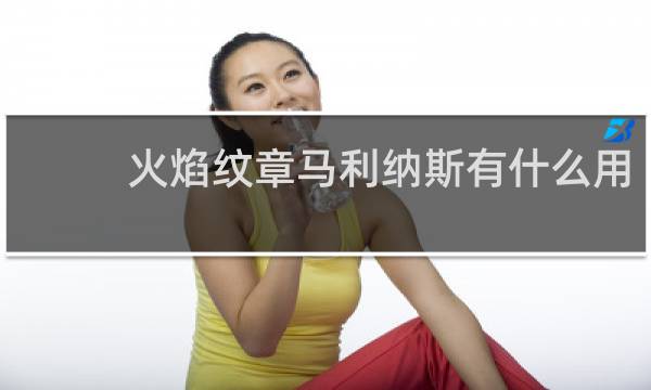 火焰纹章马利纳斯有什么用