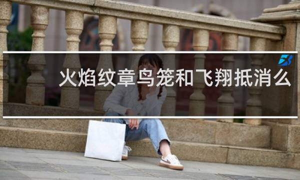 火焰纹章鸟笼和飞翔抵消么