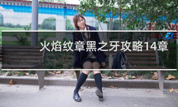 火焰纹章黑之牙攻略14章