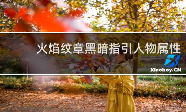 火焰纹章黑暗指引人物属性