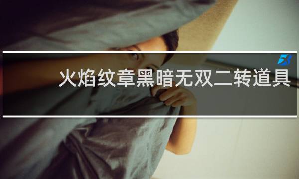 火焰纹章黑暗无双二转道具