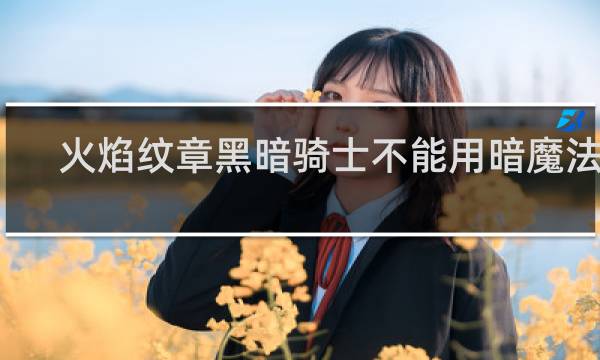 火焰纹章黑暗骑士不能用暗魔法吗