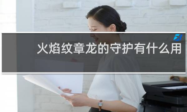 火焰纹章龙的守护有什么用