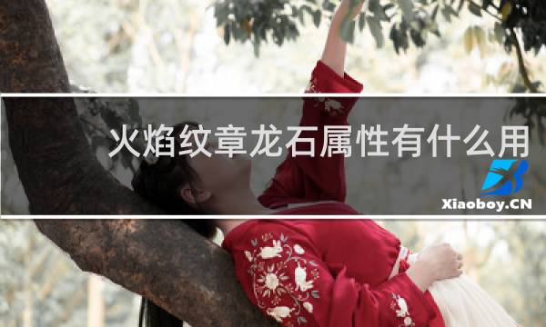 火焰纹章龙石属性有什么用