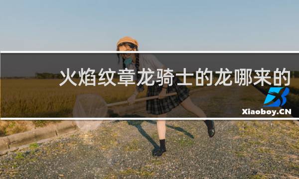火焰纹章龙骑士的龙哪来的