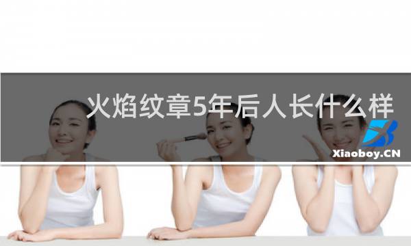 火焰纹章5年后人长什么样