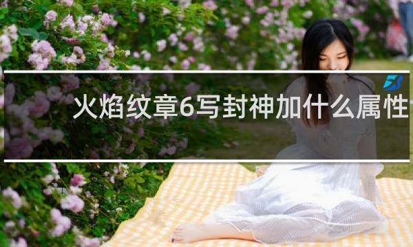 火焰纹章6写封神加什么属性