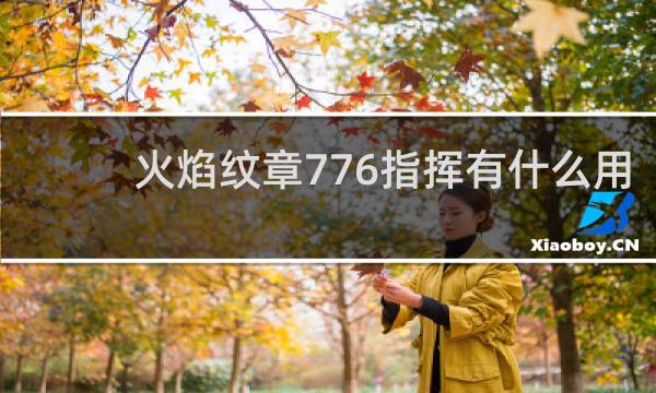 火焰纹章776指挥有什么用