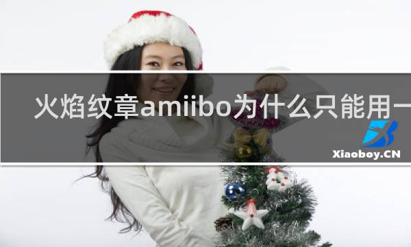 火焰纹章amiibo为什么只能用一张