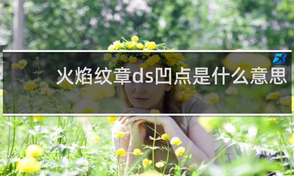 火焰纹章ds凹点是什么意思