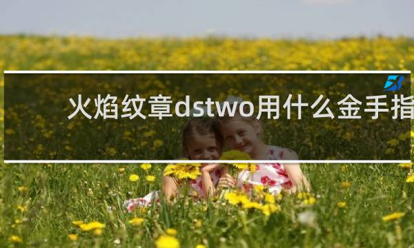 火焰纹章dstwo用什么金手指