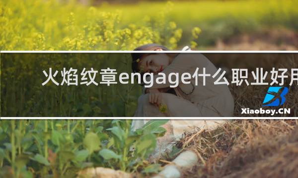 火焰纹章engage什么职业好用