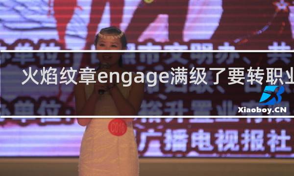 火焰纹章engage满级了要转职业吗